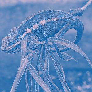 微妙的泰式按摩心情