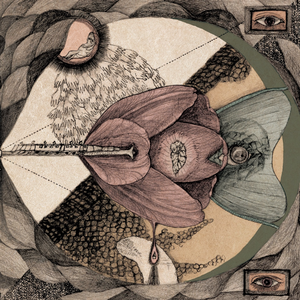 瞬きをしないで見ること-閉じたあとも