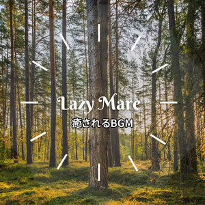 Surf Sand and the Sun