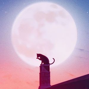 不要问我过得好不好