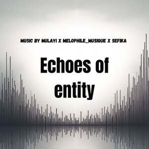 Echoes of Entity