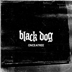 Black Dog