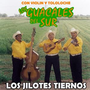 Corre Corre Camioncito