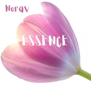 Essencial