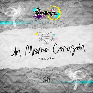 Un mismo corazón