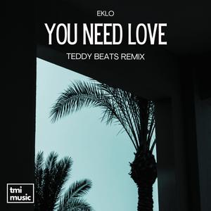 You Need Love (Teddy Beats Remix)
