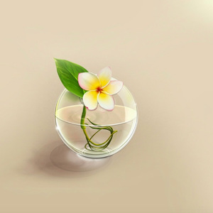 初花（demo）