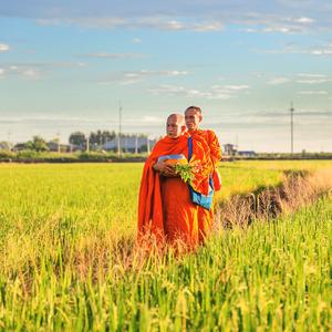 Két szerzetes beszélget , tanmese a szerteágazó figyelemről, elcsendesedésről