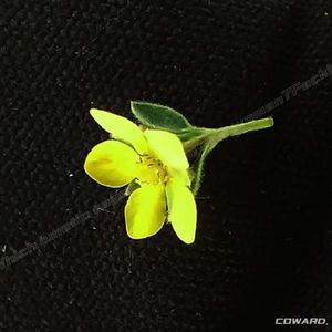 我又该抵达怎样的未来