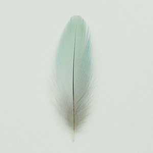 云烟成雨（翻自 房东的猫）