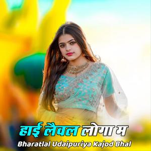 हाई लैवल लोगा म