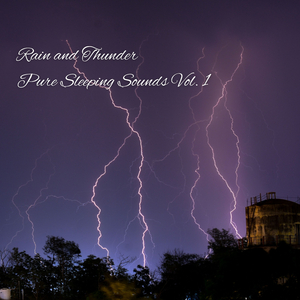 Forest Rain Thunderstorm Sleep Sound