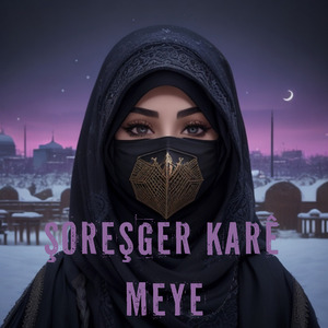 Şoreşger Karê meye