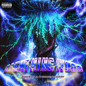 Lightning Wood（雷击木）
