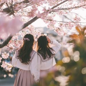 雨上がりの約束