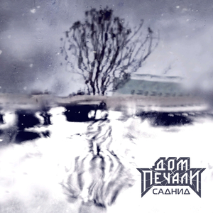 Саднид