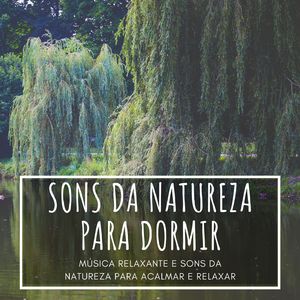 Sons da Natureza para Dormir