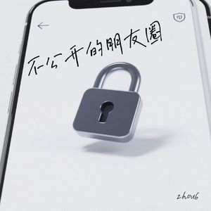 不公开的朋友圈