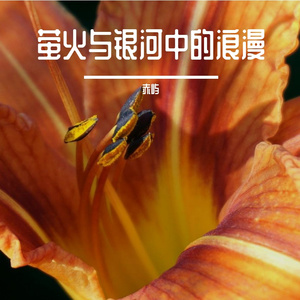 萤火与银河中的浪漫
