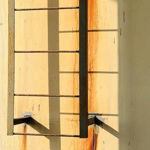 我曾经也想过一了百了（兔子）