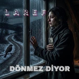 Dönmez Diyor