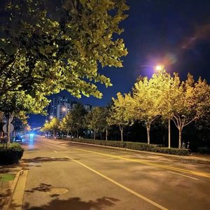 顺其自然的伪装