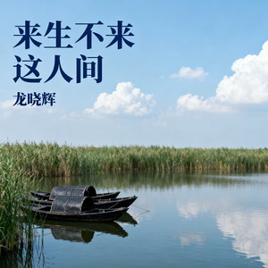 来生不来这人间