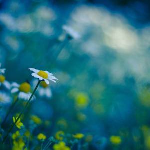 相信我们会创造奇迹