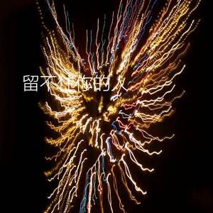 留不住你的人(Remix)