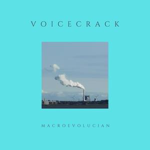Voicecrack