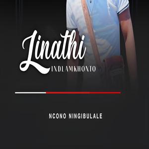 Ncono Ningibulale (feat. Ndabezinhle)