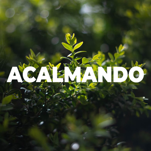 Acalmando