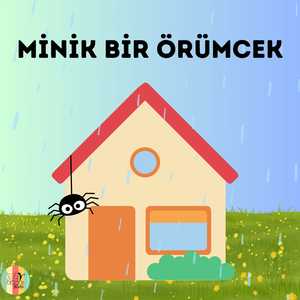 Minik Bir Örümcek
