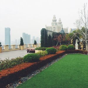 七里香（钢琴新编）