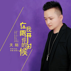 在我离开你的时候