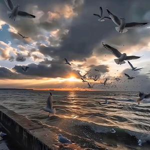 Baby I'm Sorry-DJ版（翻自 DJ与政）