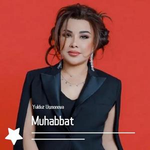 Muhabbat电子现场