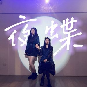 夜蝶（おしべとめしべと夜の蝶々中文版）