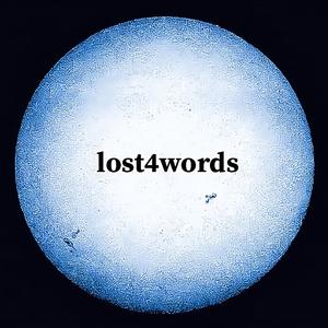 lost4words (feat. Lovefrancïs)