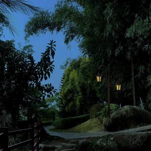 卸甲归田_20220427_202137