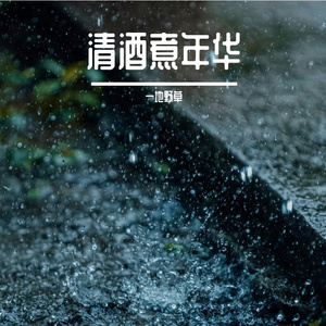 清酒煮年华