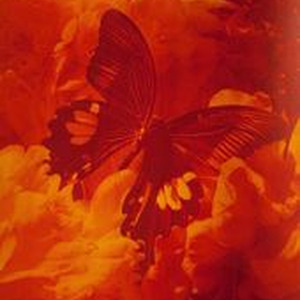 solsticetone fieldlight