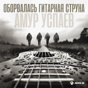 Оборвалась гитарная струна