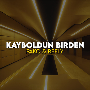 Kayboldun Birden