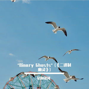《Binary Phantom》二进制幻影