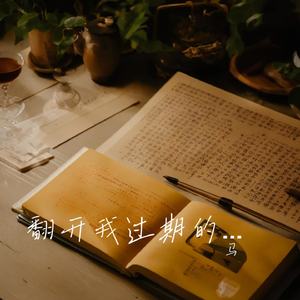 翻开我过期的日记