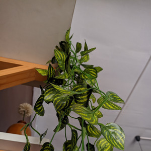 Melambai Lambai