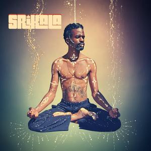 Coming Home (feat. Jesse Johnson)