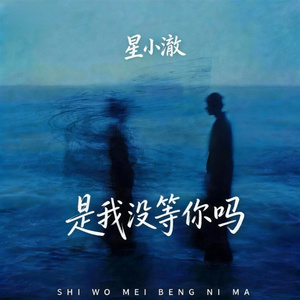 是我没等你吗(伴奏)