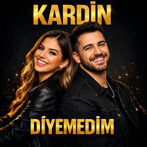 KARDÎN- DİYEMEDİM